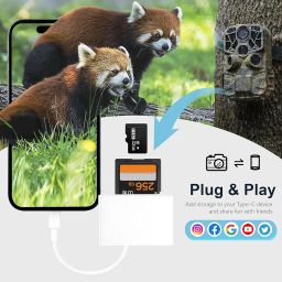 USB C to SD Card, Micro SD Memory Card Reader, Type C to SD Card Reader Adapter for iphone15 MacBook Camera Android Windows Linux and Other Type C Device image 1