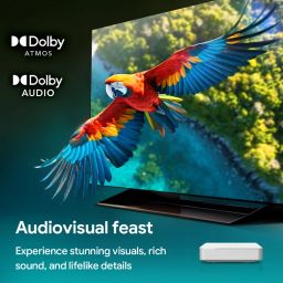 FitSpark 4K Dolby Audio Google TV Box with Google Assistant Android 12 Voice remote Chromecast compatible 2GB DDR-32GB eMMC HDMI, Ethernet LAN, USB-C, 2 x USB-A, 3.5mm AV, Optical Audio, Micro SD card image 5