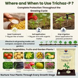 Utkarsh Trichoz-P (Trichoderma Viride 1.5% W.P.: 2 x 10^6 CFU/gm min.) for Plants, Crops and Home Gardening (5 Kg; Pack of 5 of 1 Kg) image 2