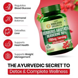 Vlado's Himalayan Organics Berberis Berberine 98% with Milk Thistle I Berberine Capsules 750 mg | Berberine Supplements for 2X Liver Support I Berberis Aristata ISupports Liver Health, Antioxidant Protection & Weight Management | Herbal Formula for Detox & Metabolic Wellness - 60 Veg Capsules image 2