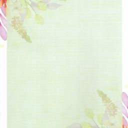 Alvika - Pack of - 40 Design - 006 A4 Size 140 GSM One Side Ruled Multipurpose Designer Colored Art & Craft Sheets for Scrapbooking, Projects image 1