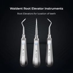 Waldent Root Elevator Instruments Kit Set of 11 (K2/4) | Premium Dental Tools for Tooth Extraction | Precision Surgical Elevators for Oral Surgery, Hygiene & Professional Use image 2