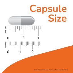 Now Foods Vegetarian Glucosamine And Msm Joint Health Capsules - 240 Veg Capsules image 2