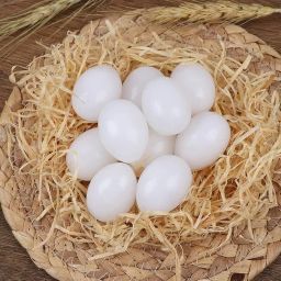 False Egg Dummy Egg Fake Egg Pigeon for Hatch Incubation Breeding Pigeon Hatching Supplies Simulation for Hatch Breeding (10) image 5