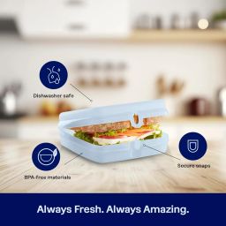 Tupperware Sandwich Keeper 2-Container Set, Dishwasher Safe and BPA Free (2 Hinged Containers) image 3