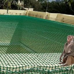 Monkey Net/Bird Net/Cricket Net/Child Safety Net UV Stabilized HDPE (with Clips & Tying Ropes) 44 MM Hole - Green - 12 x 45 FT - 3MM 54PLY image 1