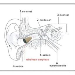 SAFETYNET Smallest Bluetooth with Any Mobile Phone Mini Gadget Mobile Invisible Phone Wireless Earpiece Device image 2
