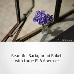 Sony E Mount FE 50mm F1.8 Full-Frame Lens (SEL50F18F) | Standard Prime | for Soft Bokeh image 4