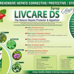 LIVCARE DS An Ayurvedic SUGAR FREE Liver Tonic 200 ML Syrup For Liver Health | Natural Liver Herbal Tonic | Improves Cell Function and Increases Immunity | Improves Digestive System (Pack of 4) image 4
