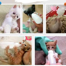 Pets Empire Dog Puppy Cat Kitten Pet Feeding Nursing Bottle Nipple Brush Kit (60 ml) image 5
