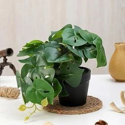 1 Pc Artificial Monstera Flower with Vase for home decor,festivals Artificial Plant-14