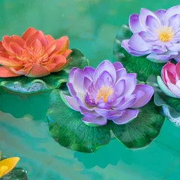 Akaar Pack Of 5 Assorted Lotus Flower-26