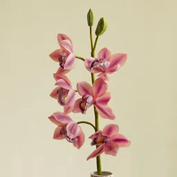 Pure Home and Living Pink Boat Orchid Artificial Flowers-image-69