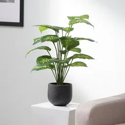 fourwalls Plastic Janet Green Miniature Silk Floor Artifical Without Pot Artificial Plant-picture-31
