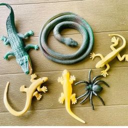 toys for kids snake,lizard,crocodile and spider gang set toys for kids snake,lizard,crocodile and spider gang set Gag Toy-25