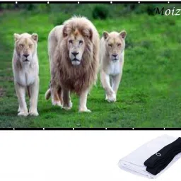 Moiz 92 Inch- 6.5Ft x 3.6Ft Anti-Creased, Foldable Anti-Light,16:9 4K Eyelet full HD Projector Screen (Width 204 cm x 114 cm Height)-22