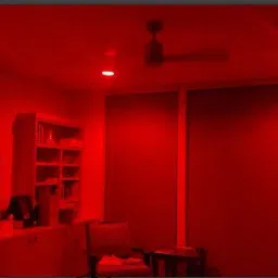 ambert 3 watt led ceiling light pack of -1, red color Ceiling Light Ceiling Lamp image 3
