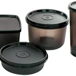 TP Lunch Delight 4 Containers Lunch Box-image-38