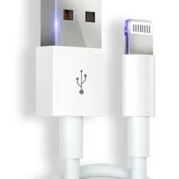 FSTER Lightning Cable 1 m IP00895-image-54