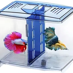 Stylish Double Betta Fish Tank – Compact Transparent Aquarium with Divider Rectangle Aquarium Tank-0