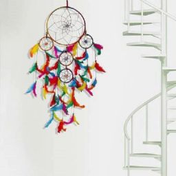 NLDC 37 Feather Dream Catcher-image-11