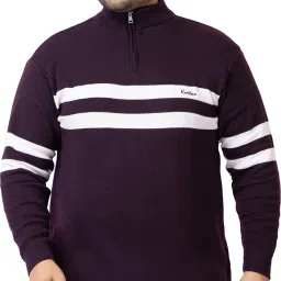 Men Striped High Neck Purple Sweater-picture-4