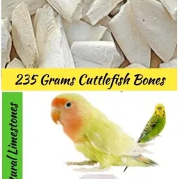 BIRDS FOOD/MINERALS/CALCIUM SUPPLIMNETS 0.47 kg Dry Young Bird Food-picture-22