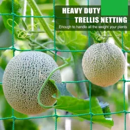 aayutri Plant Creeper Net (5 x 11 ft) Climbing Net/ Support Net Portable shade green Garden Tool Kit image 2