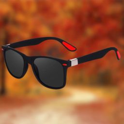 Polarized Wayfarer Sunglasses (52)-image-17