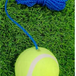 Tennis cricket hanging ball for knock practice -A5 Tennis Ball-picture-32