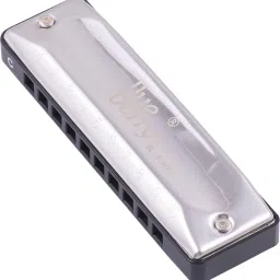 blueberry R-1002,10 Hole 20 Tone Diatonic Blues Harp Harmonica Key of C with Case image 3