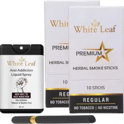 Premium Herbal Cigarettes Tobacco/Nicotine Free Regular Flavor(20 Stick, 1 Shot) Smoking Cessations-picture-19