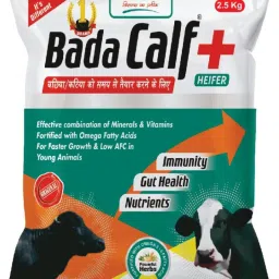 Calf immunity booster & healthy calf, Strong Calf, Calf to Adult Pet Health Supplements-10