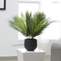PVC Areca Palm Artificial Plant Without Pot (Set of 4) by Arick Decor-picture-31