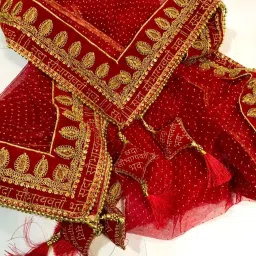 Net Embellished Red Women Dupatta-picture-19