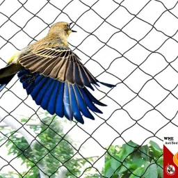Pigeon Net Anti Bird Net for balcony Pigeon Net for balcony10ft X 6ft(60 sq.ft) Camping Net-27