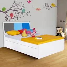 alex daisy Young Kids Bed in Blue Colour with Hydraulic Storage-picture-11
