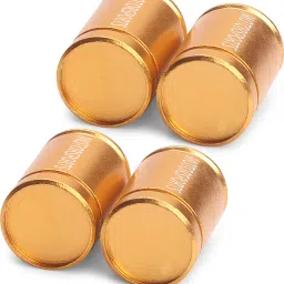 Iron Tyre Valve Cap for Car, Bike-image-86