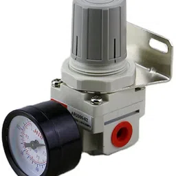 Air Regulator (AR) 1/4" Pneumatic Test Indicator-18