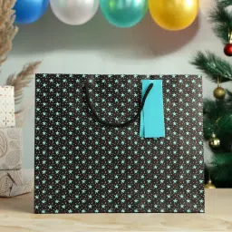 Printed Party Bag-13