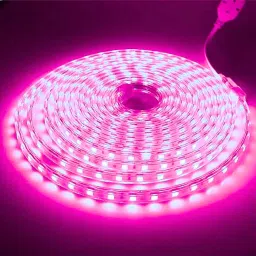 1200 LEDs 5 m Pink Steady Strip Rice Lights-33