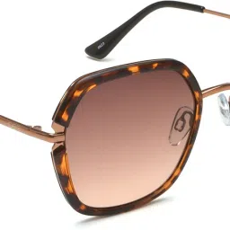 Gradient Over-sized Sunglasses (56)-image-25