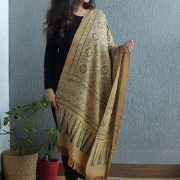 Weaves of Tradition Women Geometric Printed Shawl-picture-10