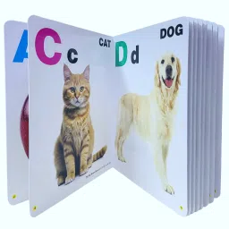 Learning Board Book for Kids Book Of Alphabet Book ABCD Single Picture(32 Pages)-image-15