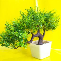 Artificial Green Fenugreek leaves Bonsai tree with white heavy plast Bonsai Wild Artificial Plant with Pot-image-81