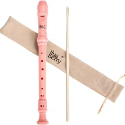 R-51 Neon Pink, 8-hole C-key German-Style Music Recorder Flute With Cleaning Rod Plastic Flute-picture-12