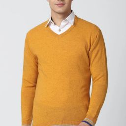 Men Solid V Neck Yellow Sweater-image-3