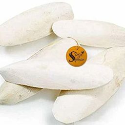 Natural Calcium Source Cuttlebone Fish for Birds, Parrot (100grm & Holder) Fish Bird Chew-picture-4
