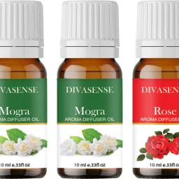Home Fragrance Oil Burner, Mogra, Rose Diffuser-image-22