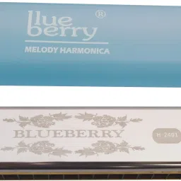 H-2401 24 Holes Key C Mouth Organ | 48 Tone | With Case For Professional, Beginners, Student Harmonica-image-58